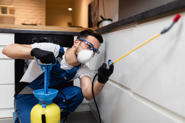 Best Wildlife Control Services  in Okolona, MS