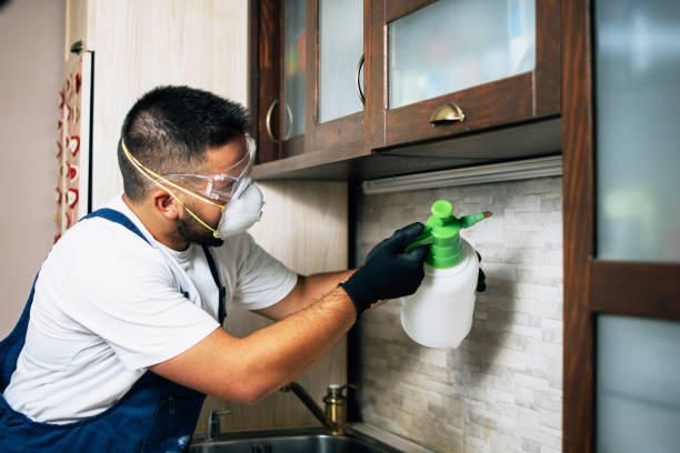 Best Rat Extermination Near Me  in Okolona, MS