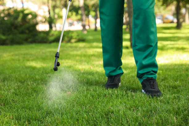 Wildlife Control Services in Okolona, MS