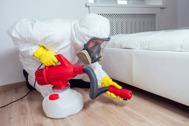 Best Emergency Pest Control  in Okolona, MS