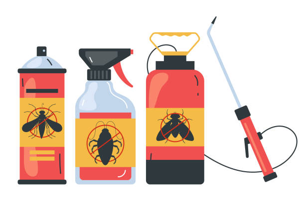 Best Insect Control  in Okolona, MS