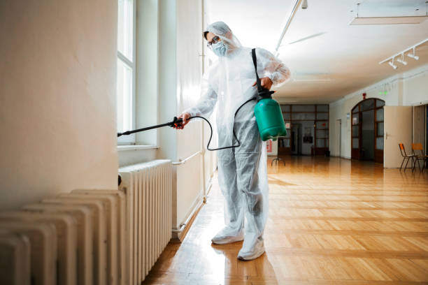 Best Wasp Removal Services  in Okolona, MS